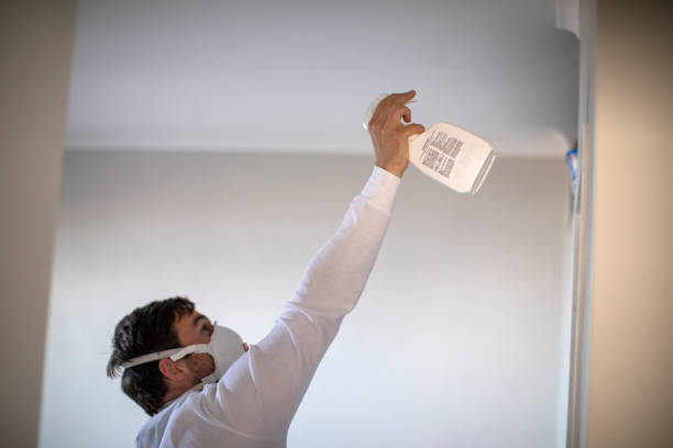 Best Mold Removal Near Me  in Newburgh Heights, OH