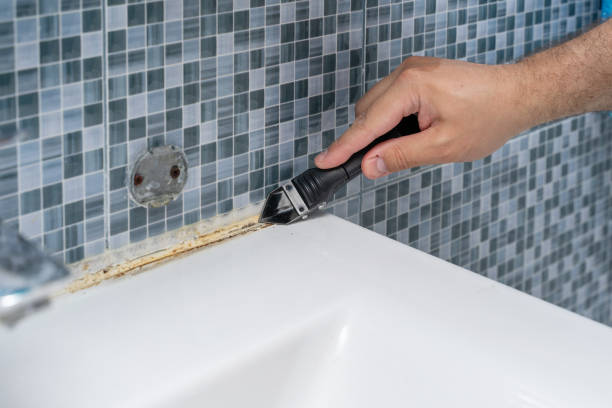 Best Attic Mold Removal  in Newburgh Heights, OH