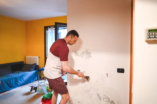 Attic Mold Removal in Newburgh Heights, OH